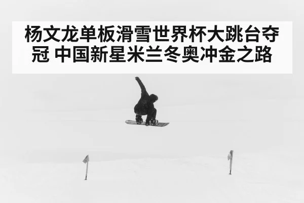 杨文龙单板滑雪世界杯大跳台夺冠 中国新星米兰冬奥冲金之路