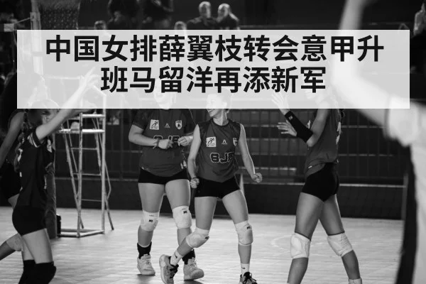 中国女排薛翼枝转会意甲升班马留洋再添新军