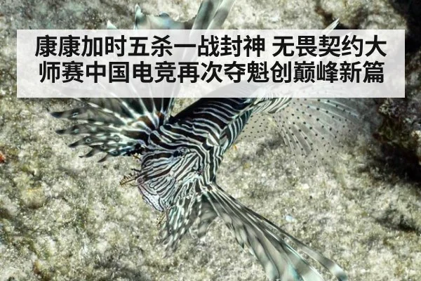康康加时五杀一战封神 无畏契约大师赛中国电竞再次夺魁创巅峰新篇